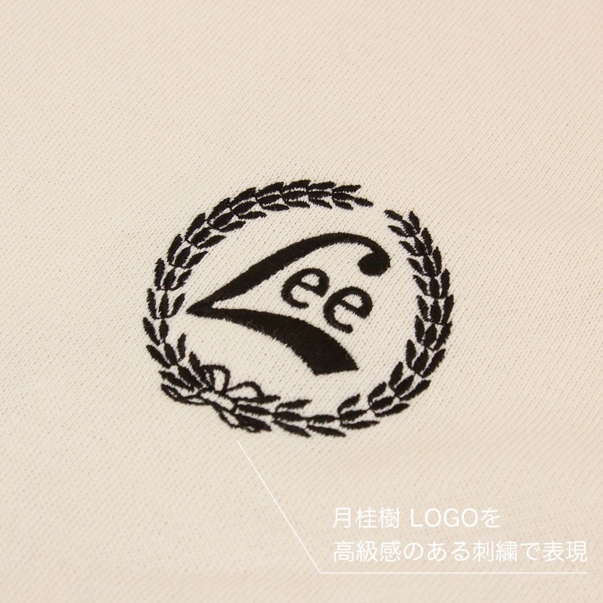 lt3163-081