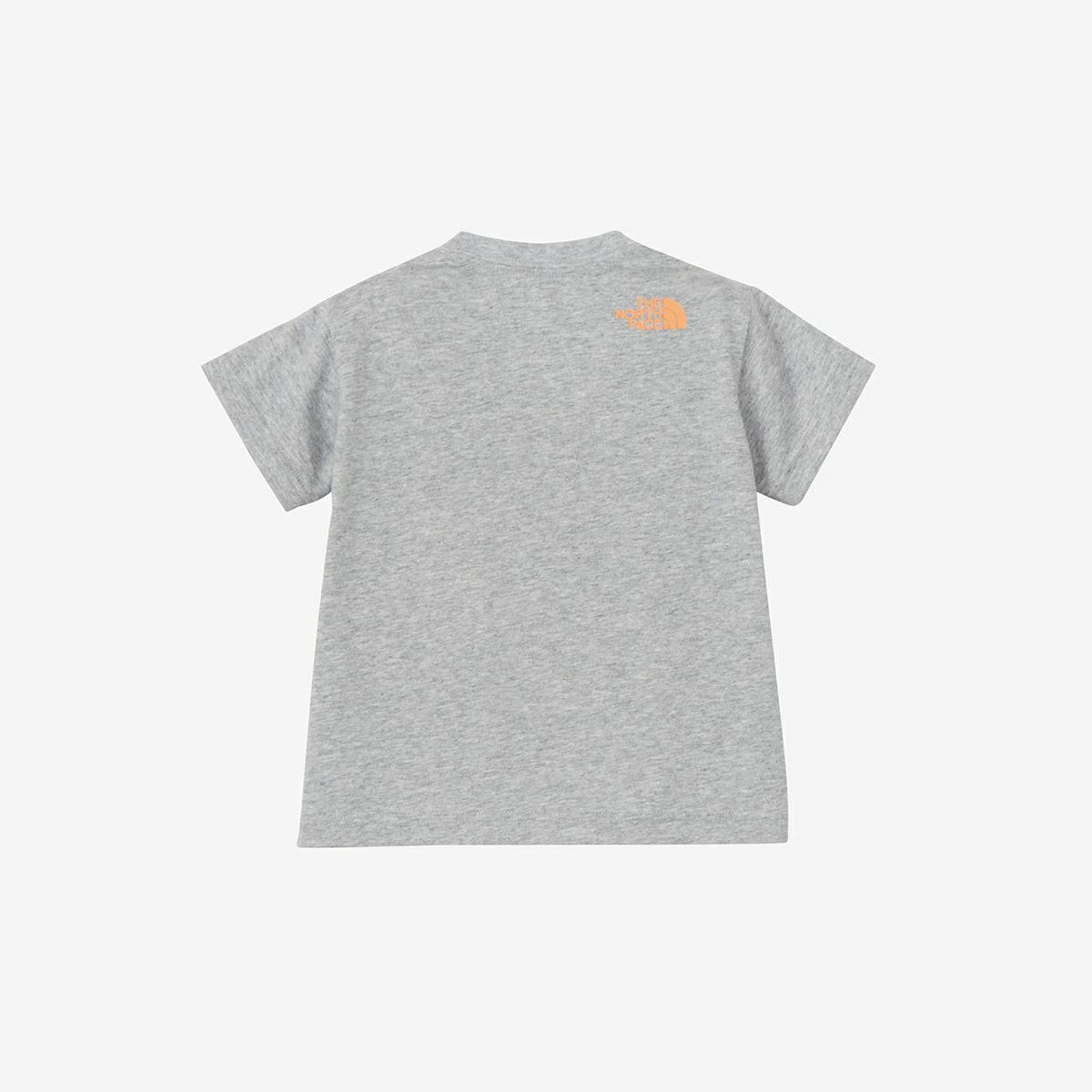 NTB32534ST