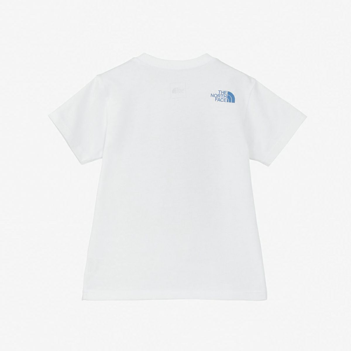 NTT32534ST